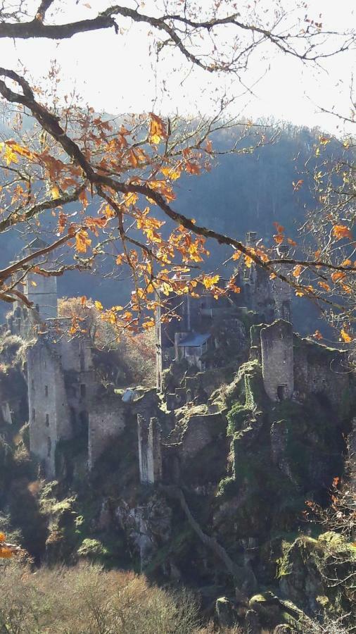 Auberge Des Ruines De Merle Saint-Cirgues-la-Loutre Exterior foto